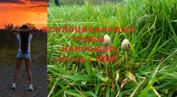 альфа пвп Каменногорск