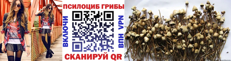 Псилоцибиновые грибы Magic Shrooms  Купить где  Яранск 